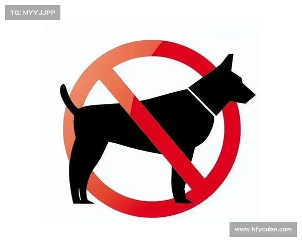 打造最强宠物的七大关键要素 让你的宠物成为真正的超级伙伴